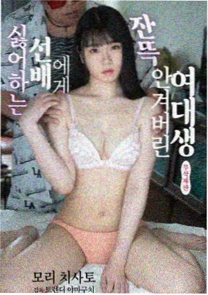 时光的旋律 最新青春剧